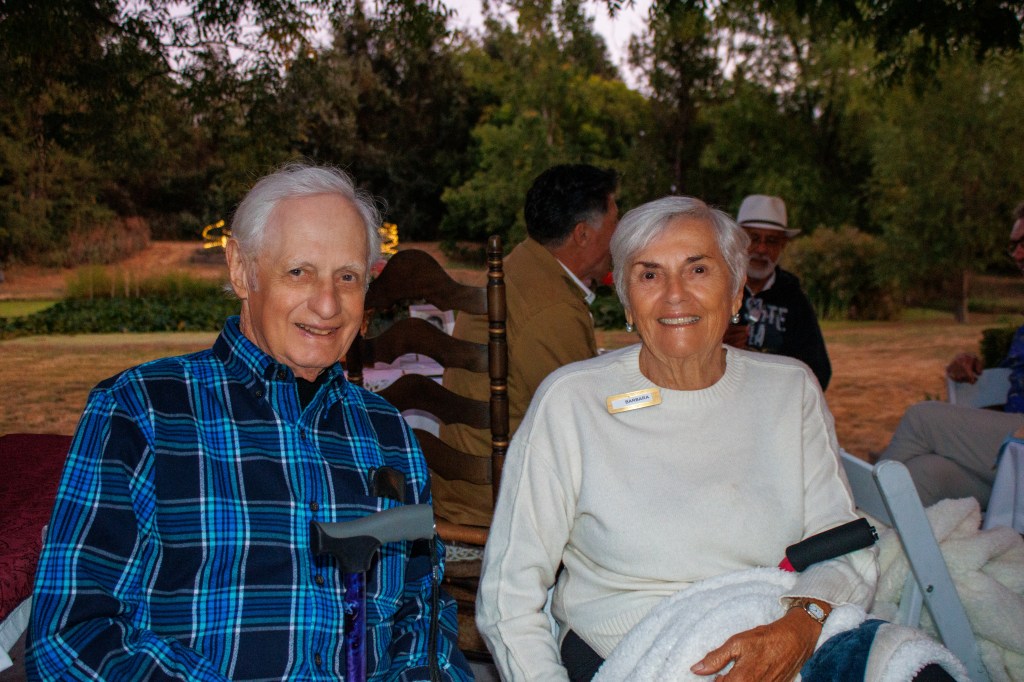 There is no alt text for the image, so I can't tell you what someone would say if asked.